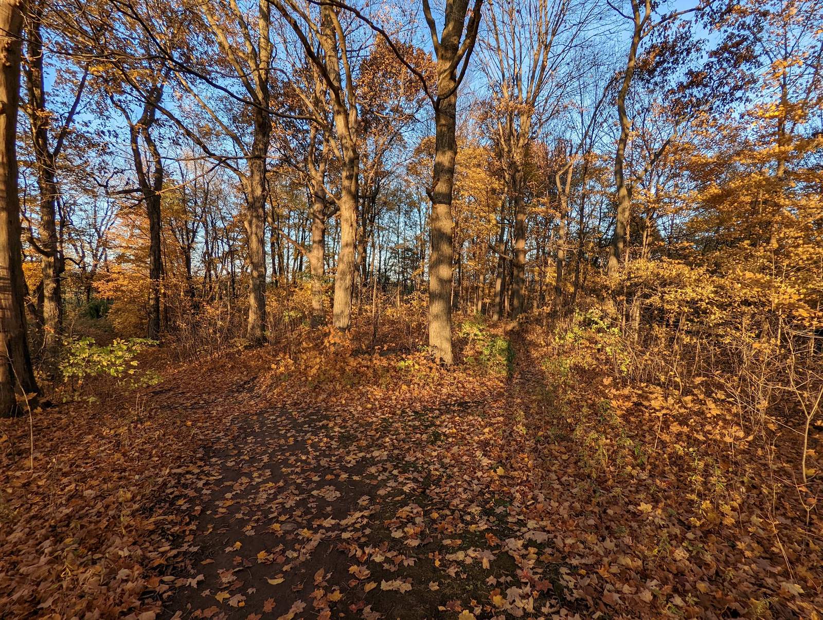 CLCF's Rudorf Farm — photo 2