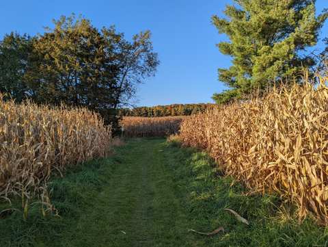 CLCF's Rudorf Farm — photo 3
