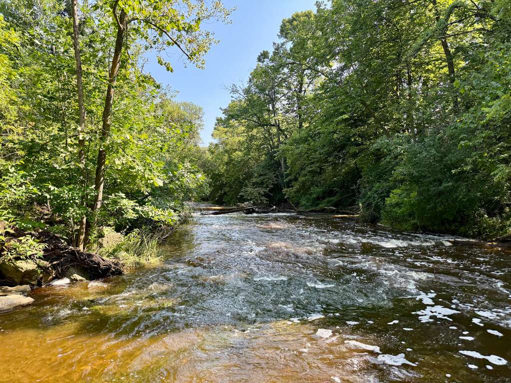 Sauk Creek Nature Preserve