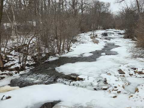 Sauk Creek Nature Preserve — photo 3