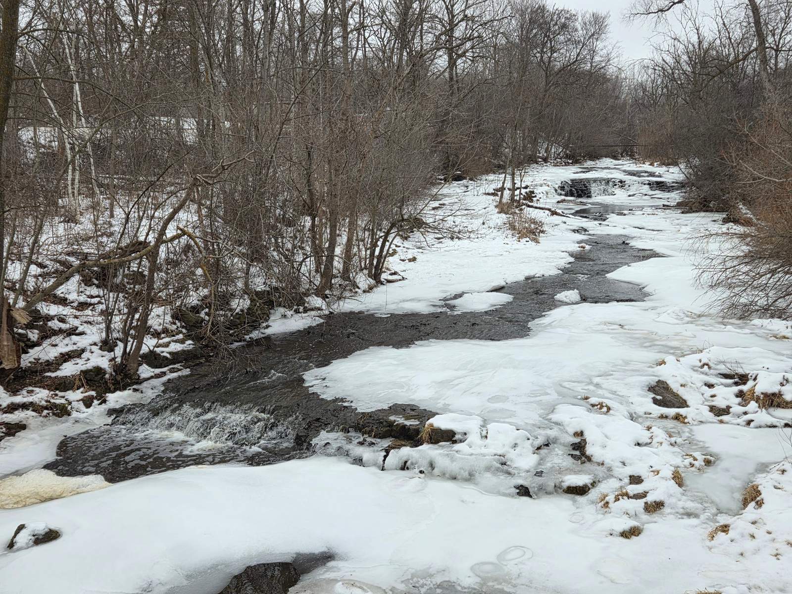 Sauk Creek Nature Preserve — photo 3