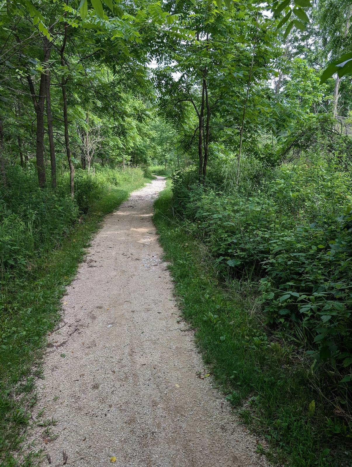 Sauk Creek Nature Preserve — photo 4