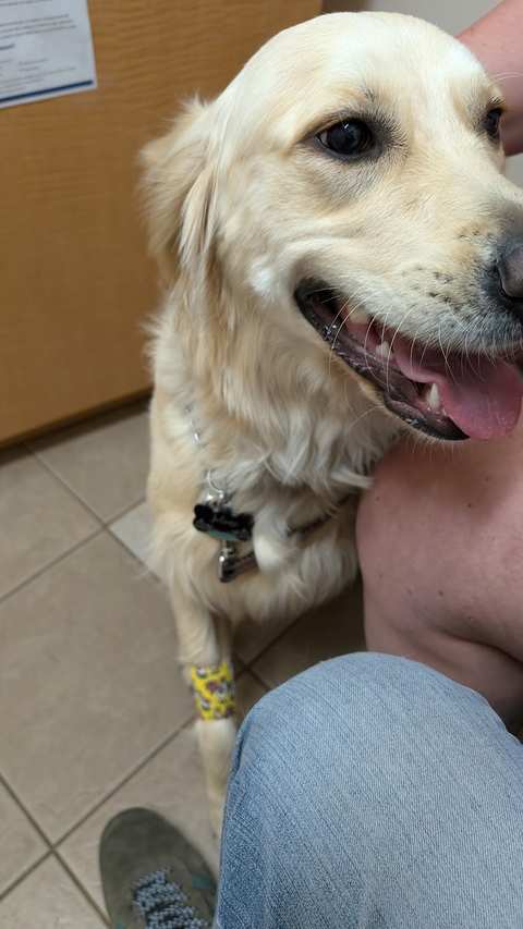 Cedar Grove Veterinary Services — photo 2