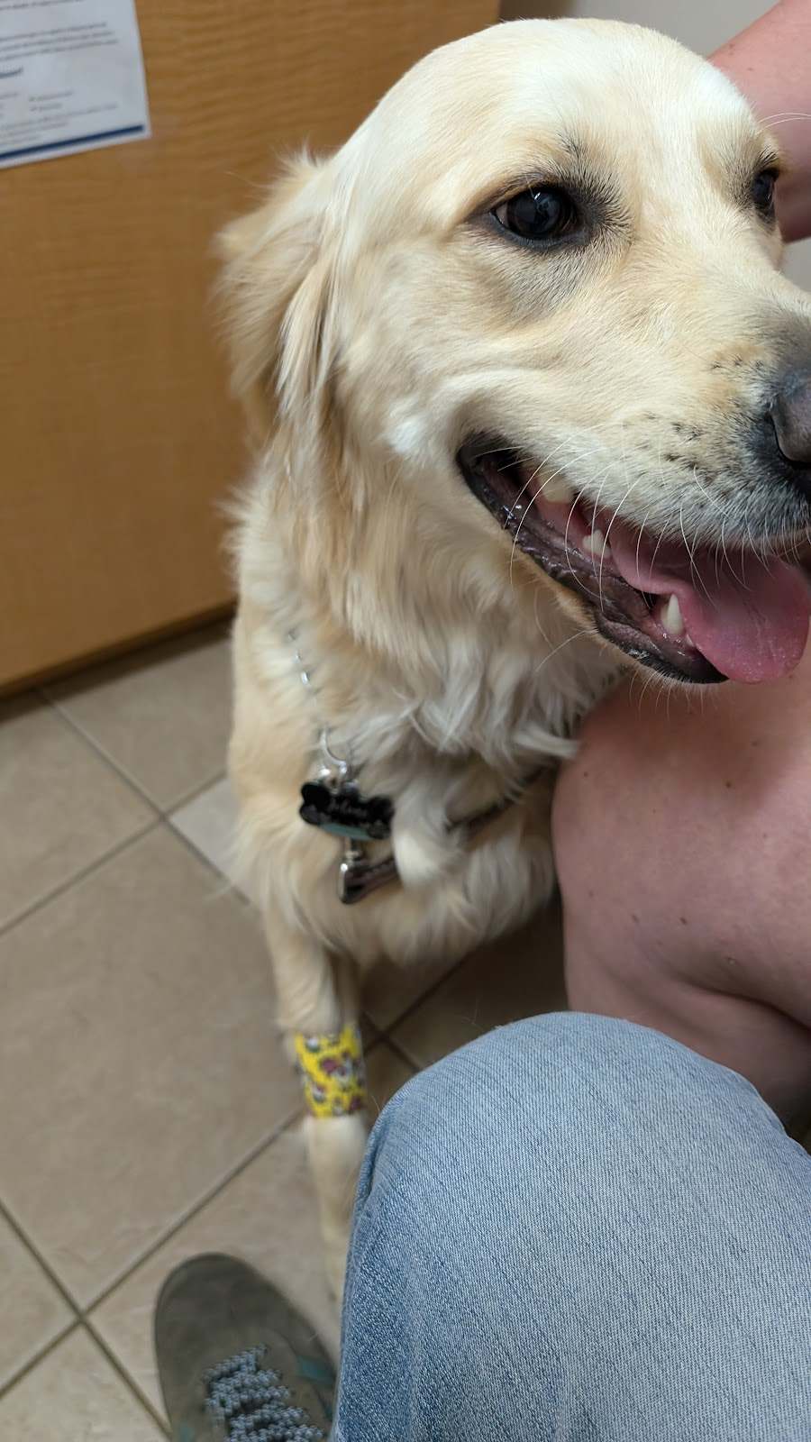 Cedar Grove Veterinary Services — photo 2