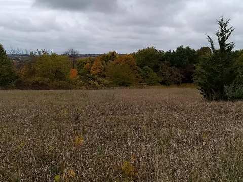 Ice Age Trail Kewaskum Parking Area — photo 2