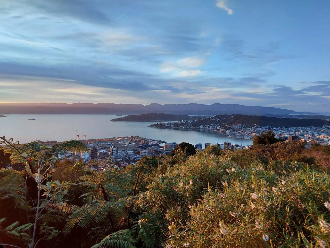 Te Ahumairangi Hill — photo 1