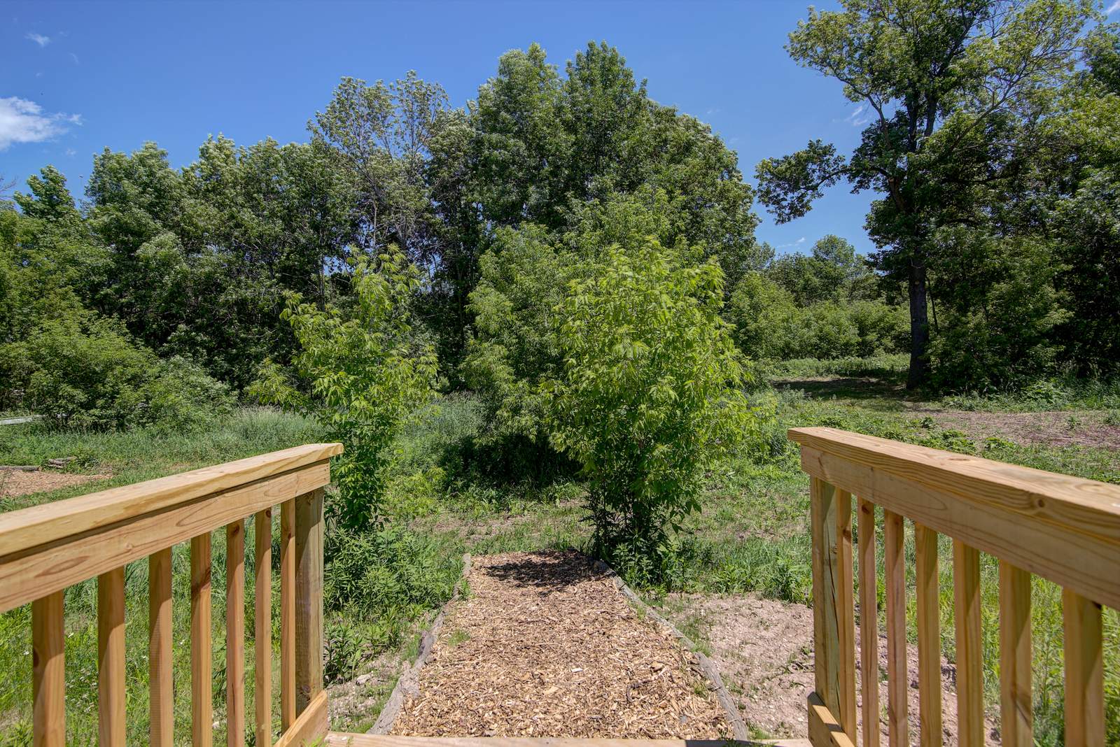 New Frontiers Preschool — photo 5