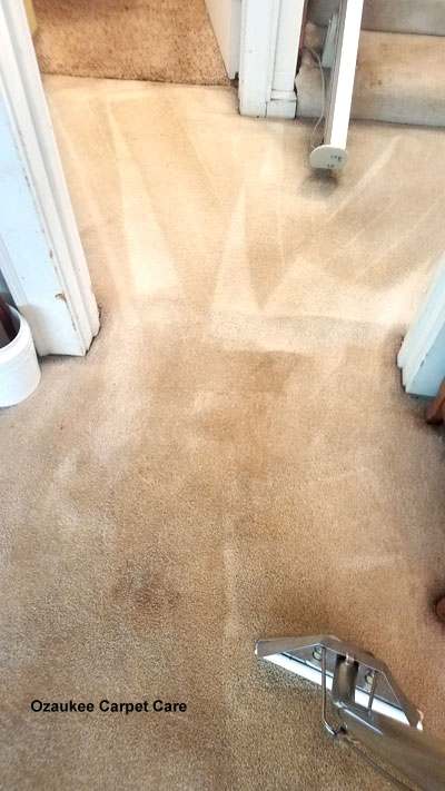 Ozaukee Carpet Care — photo 1