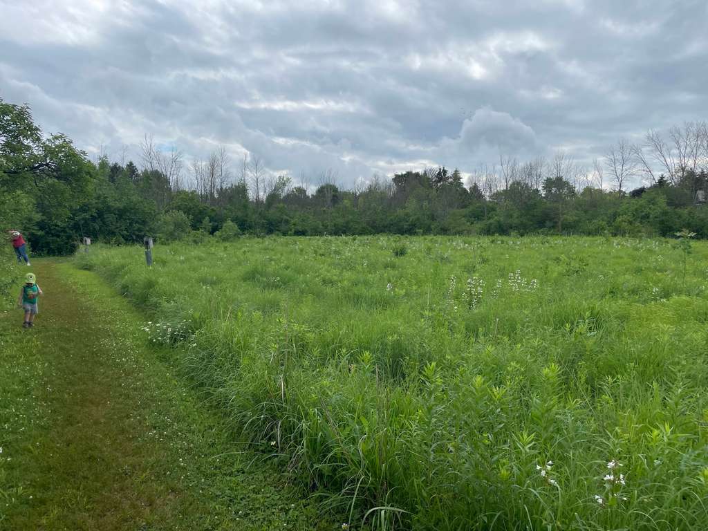 Grasslyn Nature Preserve