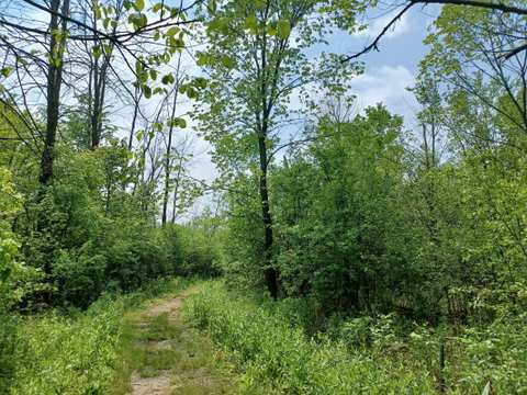 Grasslyn Nature Preserve — photo 2