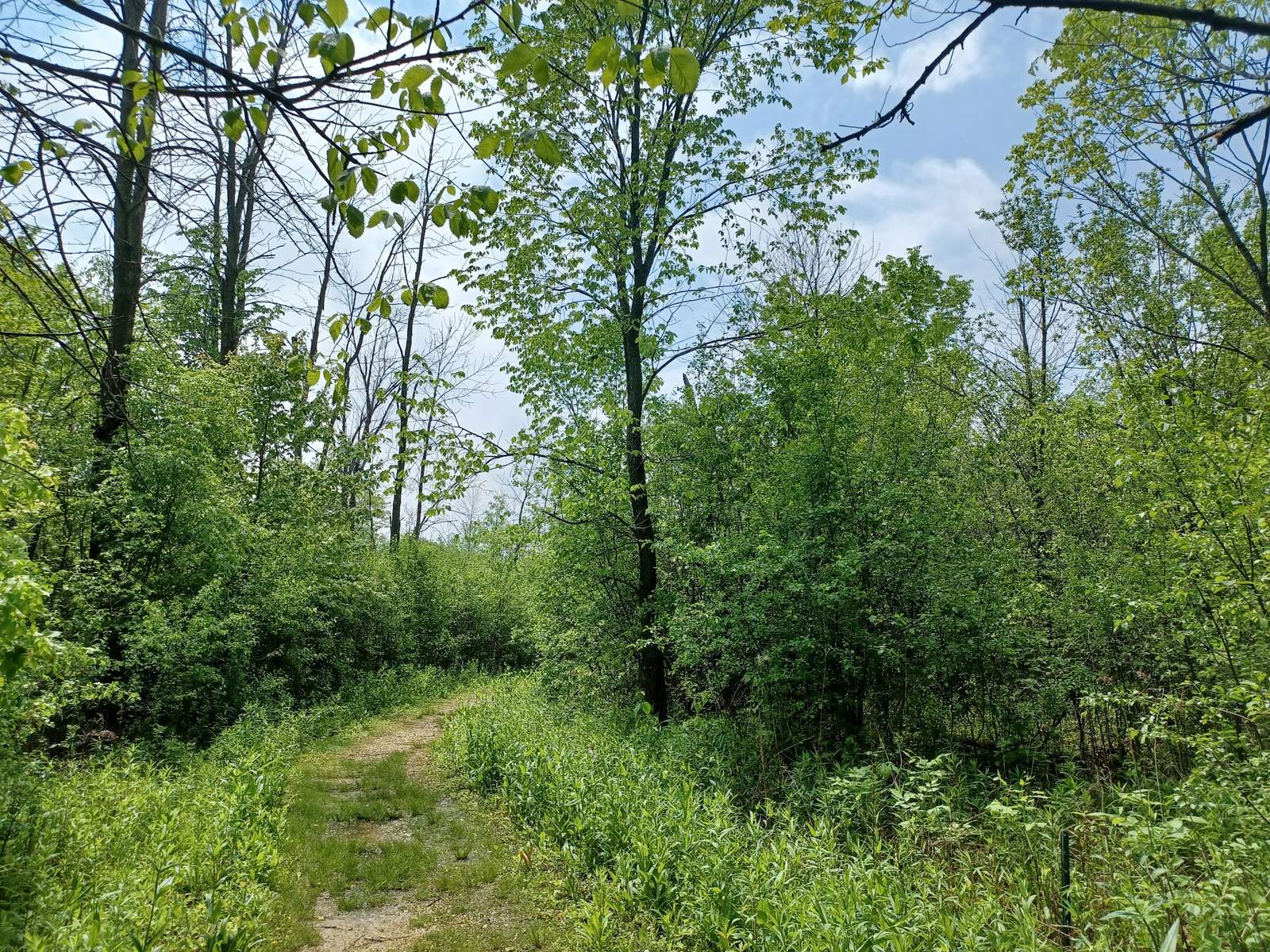 Grasslyn Nature Preserve — photo 2