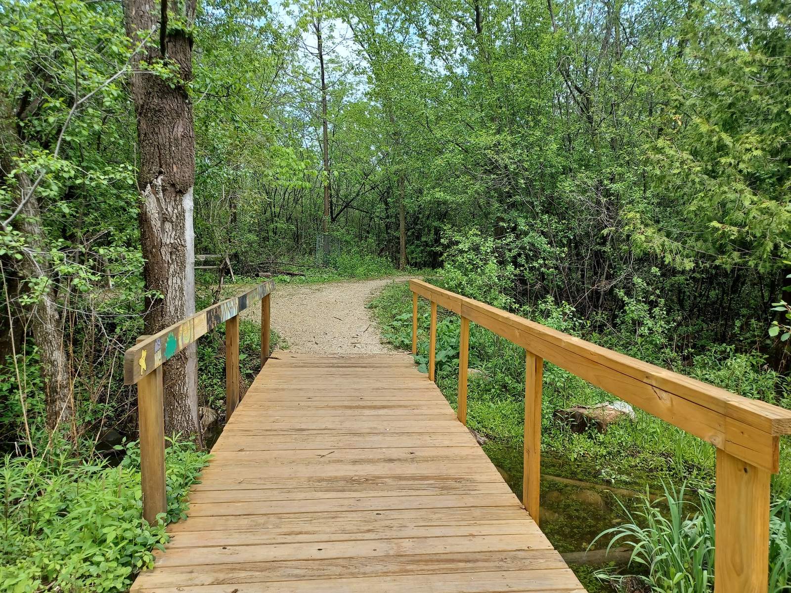 Grasslyn Nature Preserve — photo 3