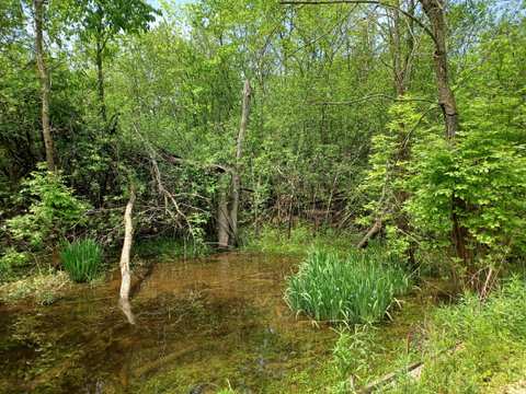 Grasslyn Nature Preserve — photo 4