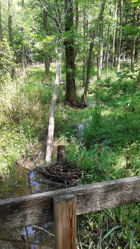 Grasslyn Nature Preserve — photo 5