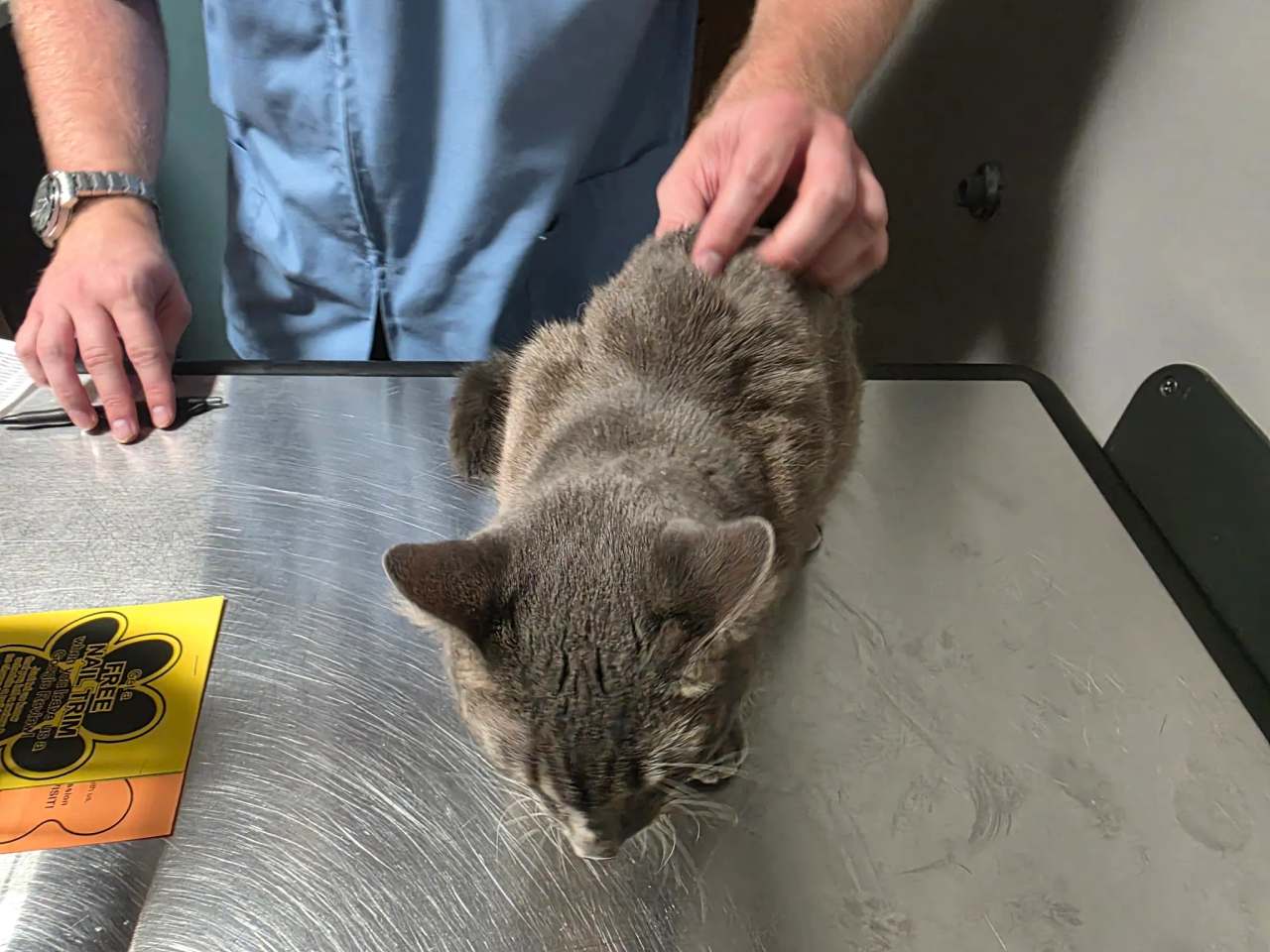 Greenfield Veterinary Clinic — photo 1