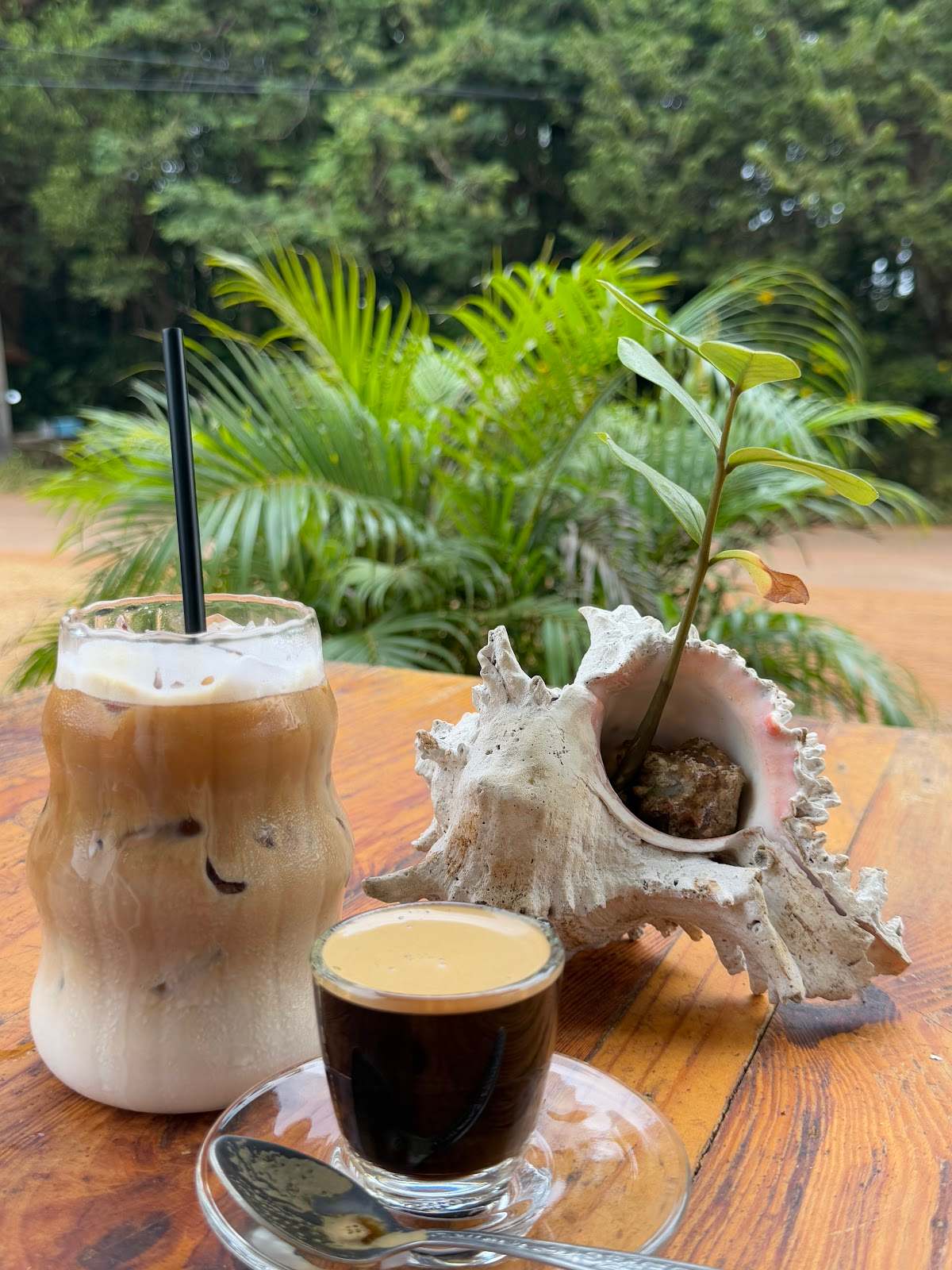 Mak Phrao Coffee & Tea — photo 2