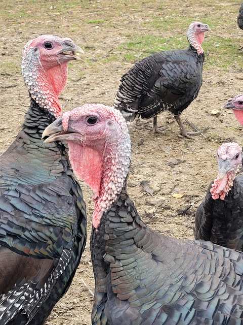 Gierach Orchards — photo 4