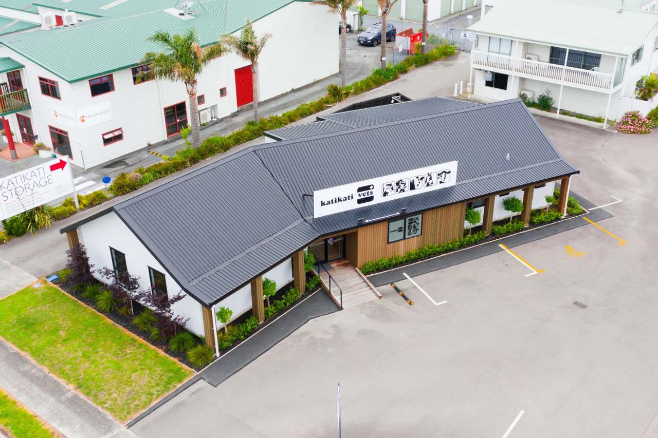 Katikati Vets — photo 2