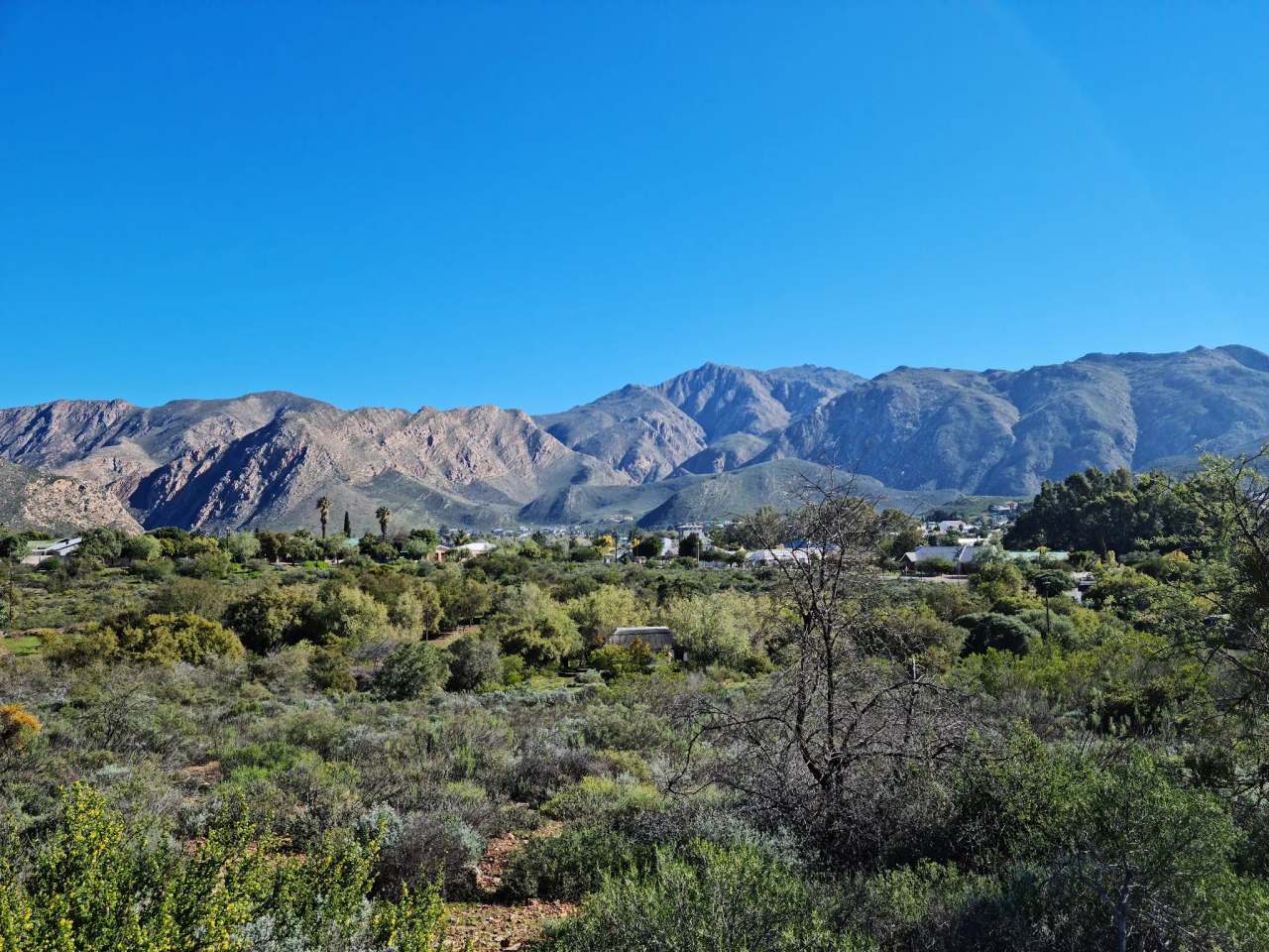 Montagu Nature Garden — photo 3