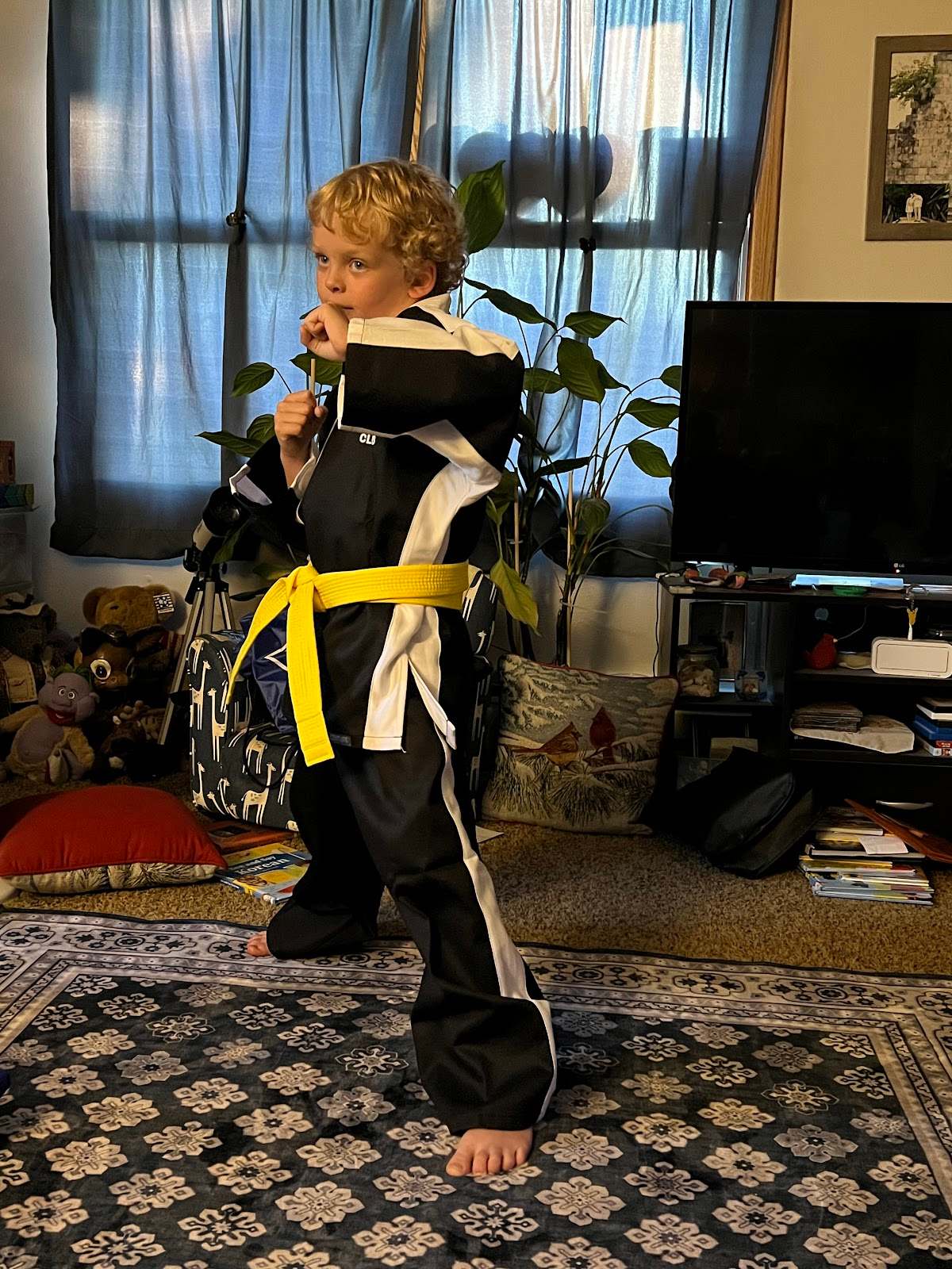 Championship Martial Arts of Port Washington — photo 4