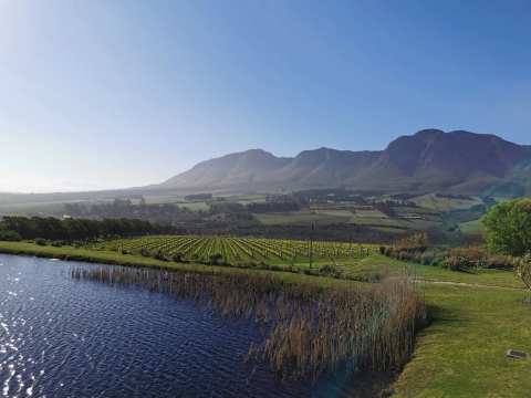 Sumaridge Estate Wines — photo 2
