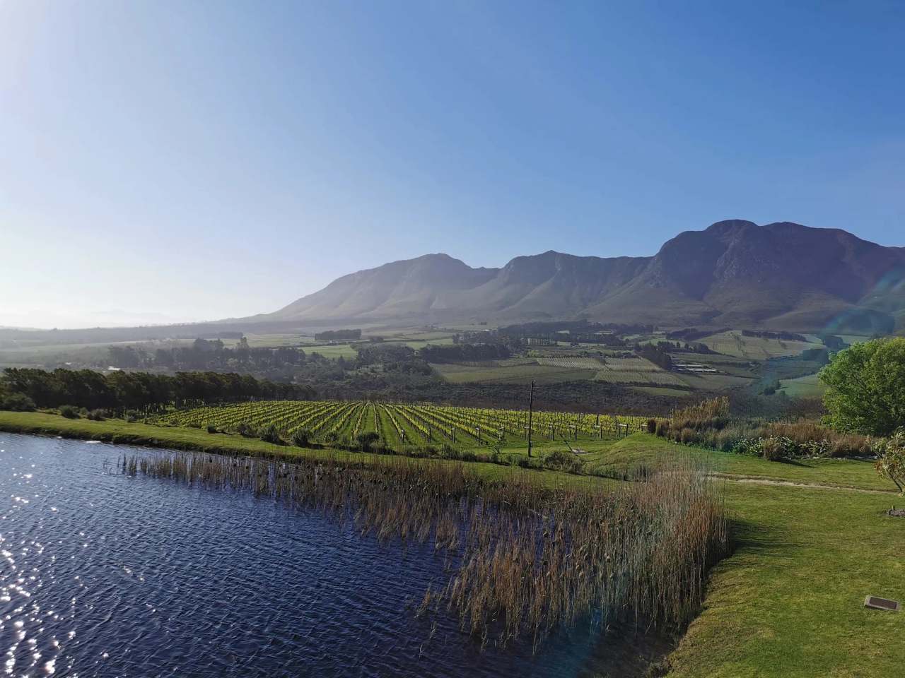 Sumaridge Estate Wines — photo 2