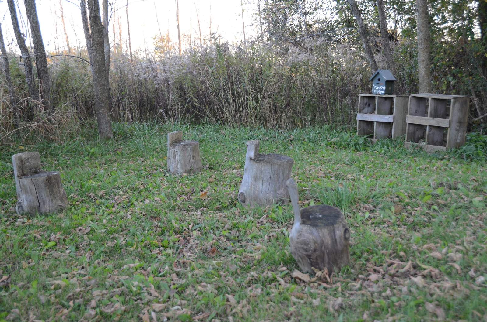 Here We Grow — photo 3