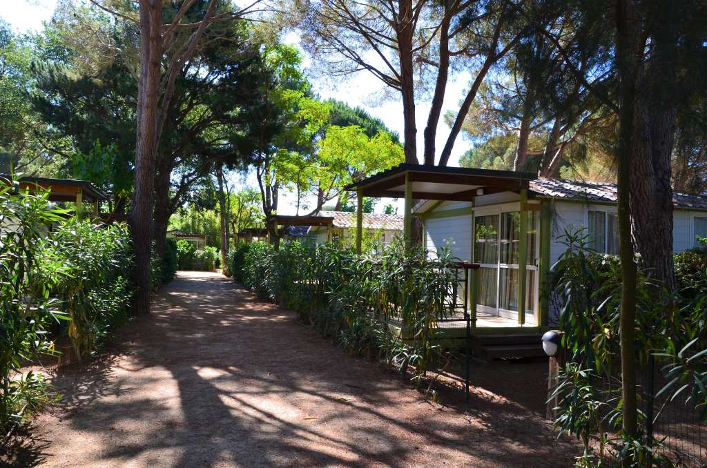 Camping La Pinède Enchantée