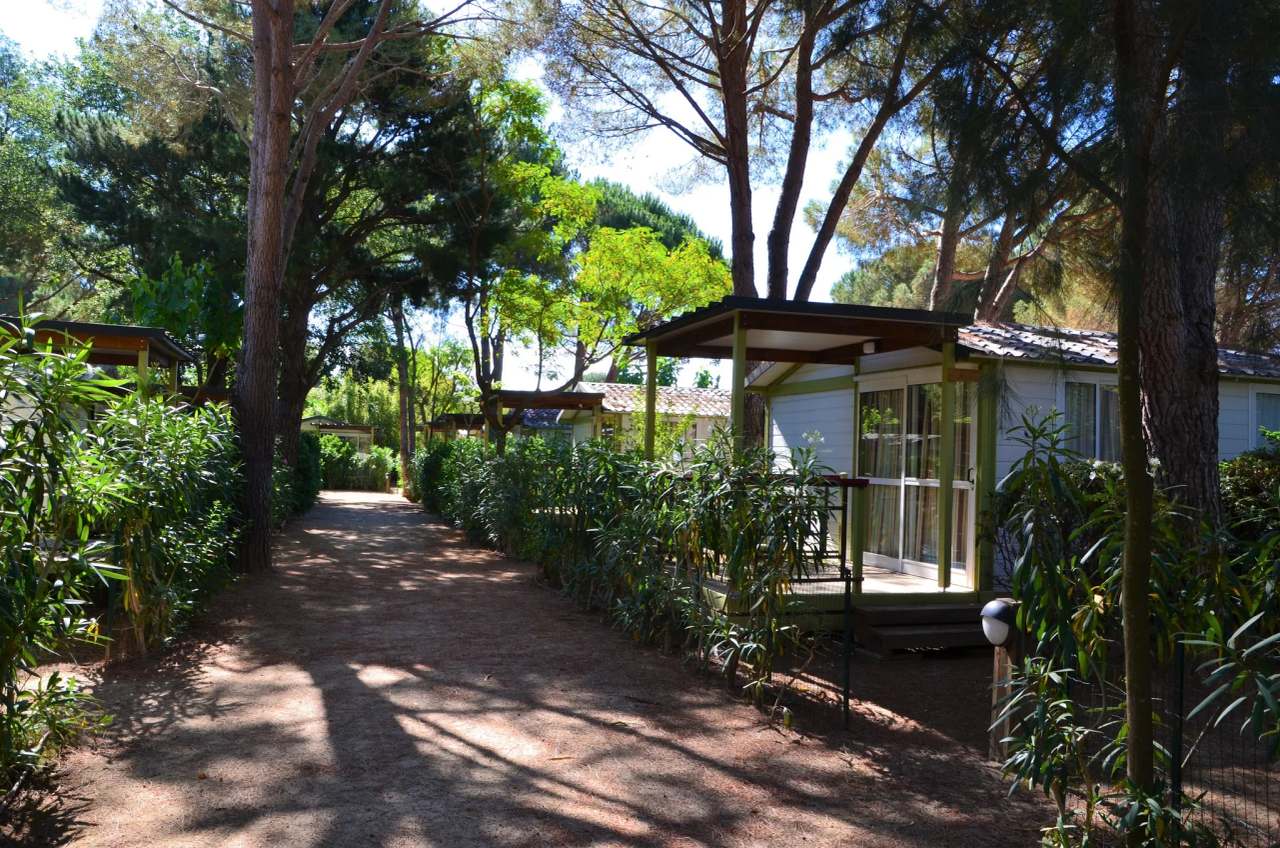 Camping La Pinède Enchantée — photo 1