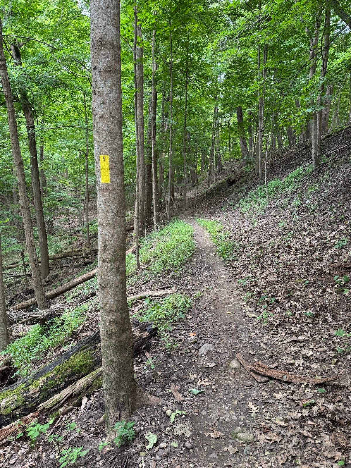 West Bend IAT Segment Trailhead — photo 3