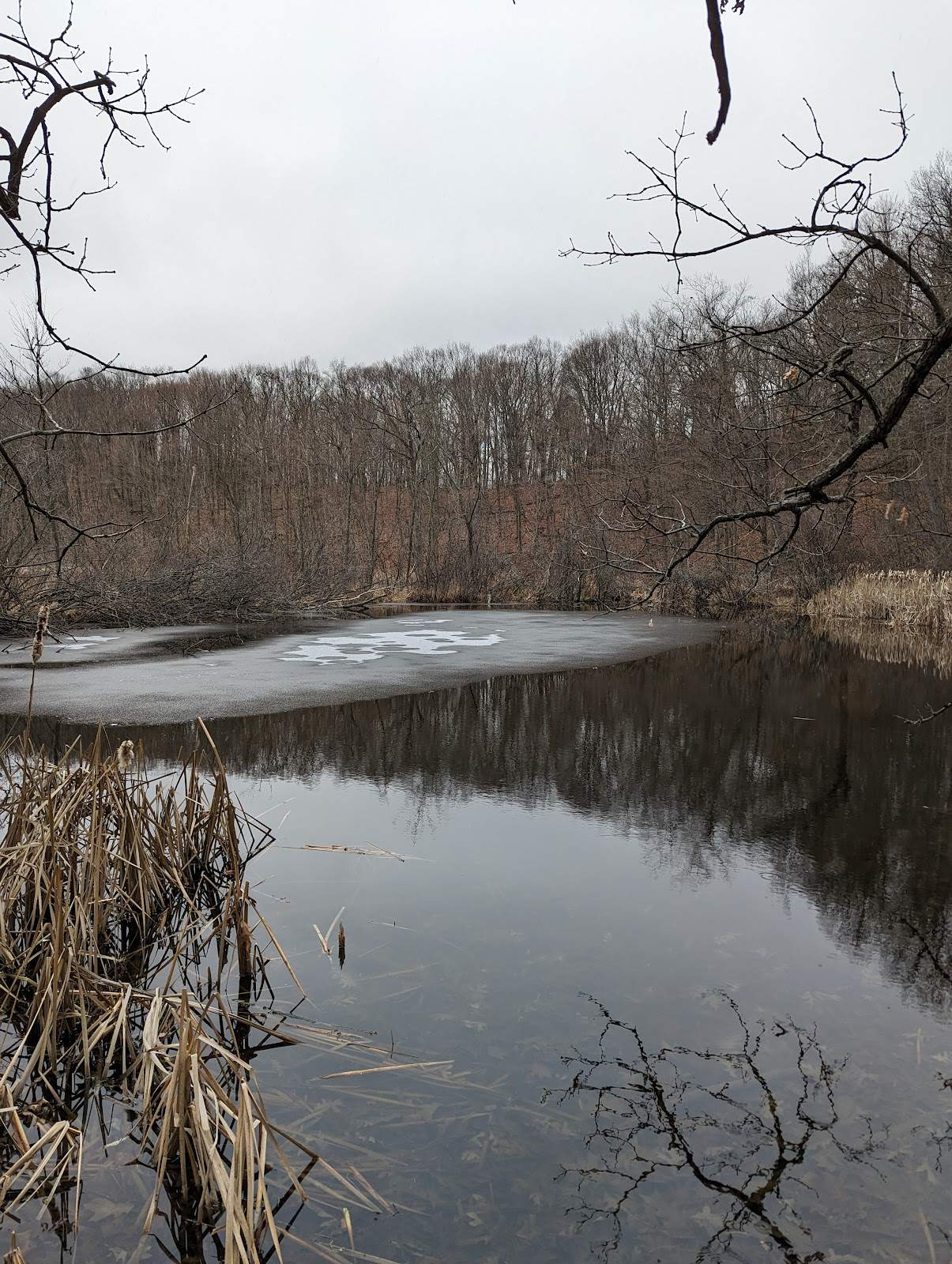 West Bend IAT Segment Trailhead — photo 4