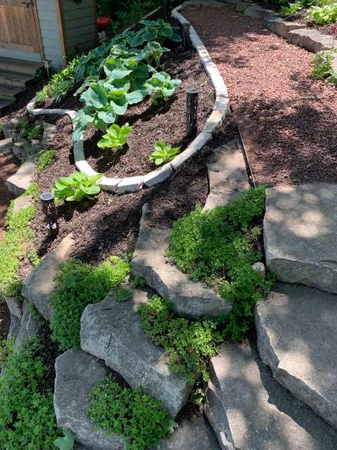A.J. Grandscapes — photo 2