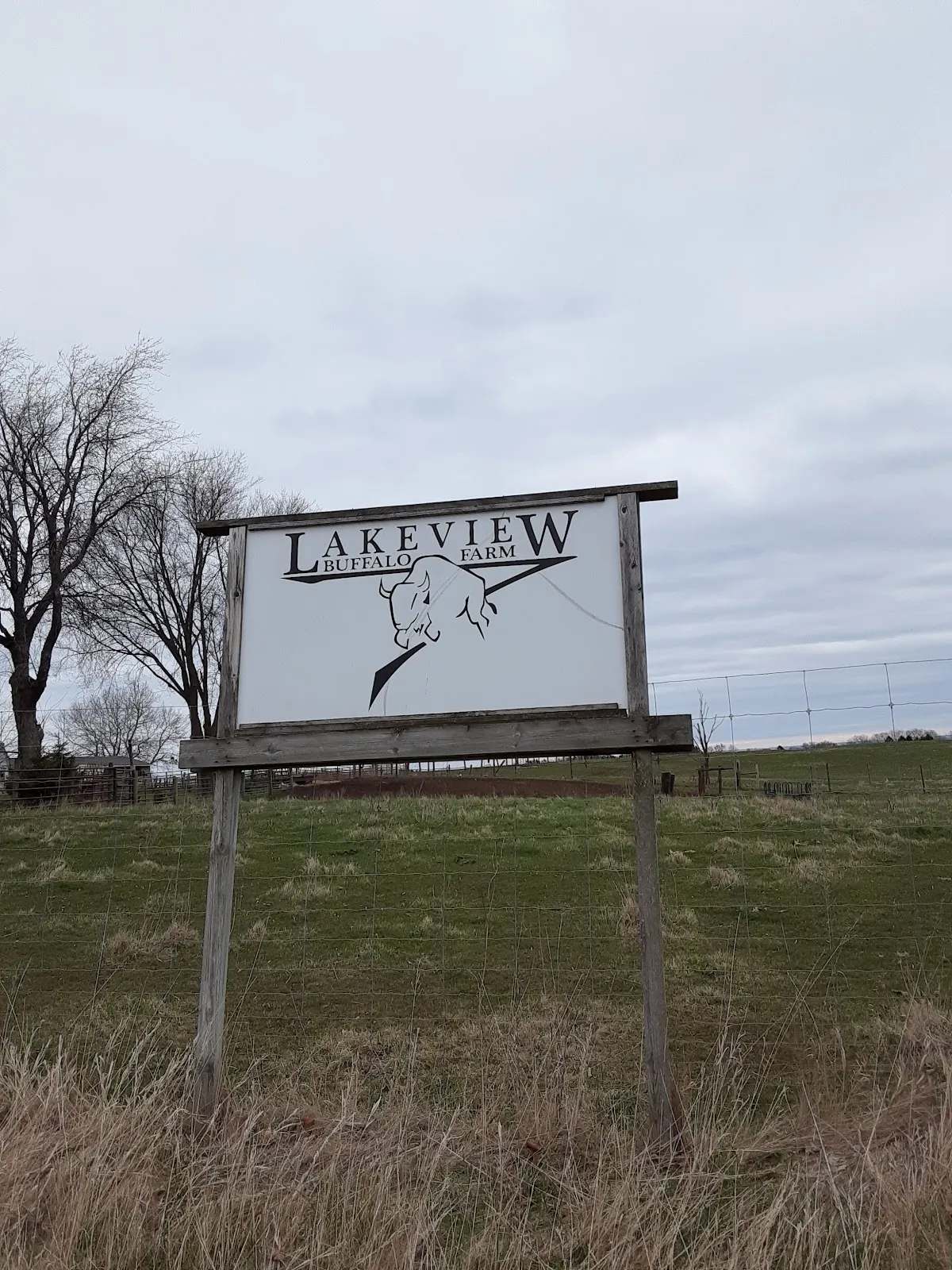 Lakeview Buffalo Farm — photo 2