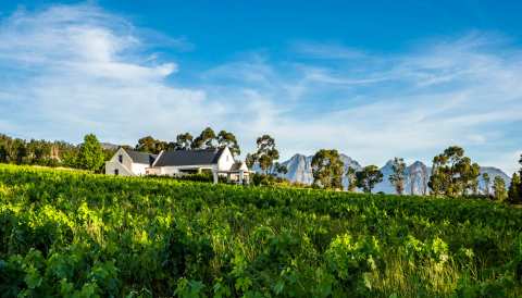 Diemersfontein Wine & Country Estate — photo 3