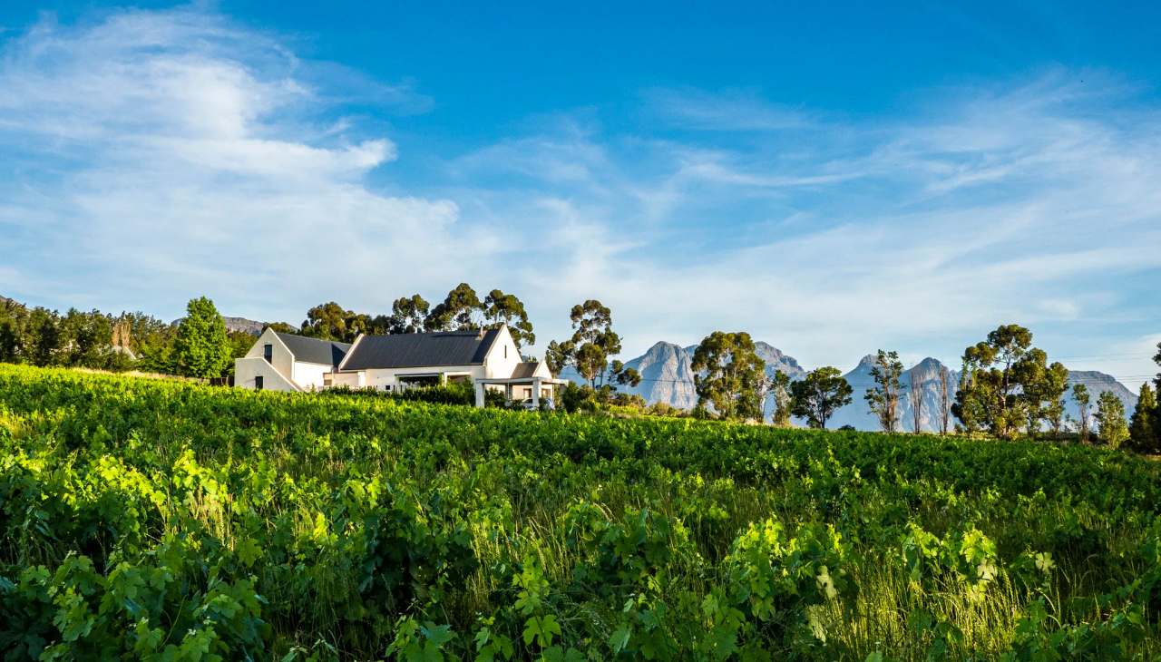 Diemersfontein Wine & Country Estate — photo 3