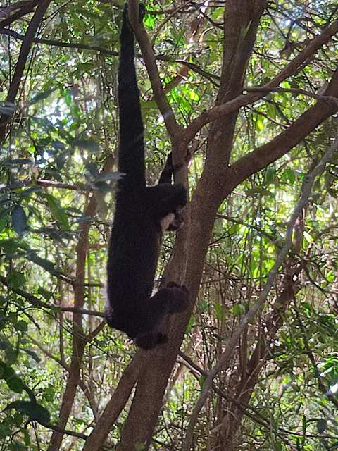 The Hidden Forest Wildlife Sanctuary — photo 2
