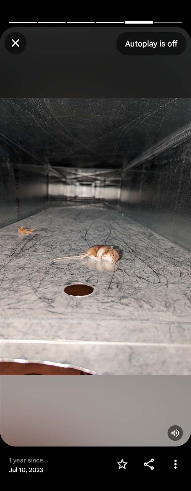 Wisconsin Natural Air Duct Cleaning Cedarburg — photo 4