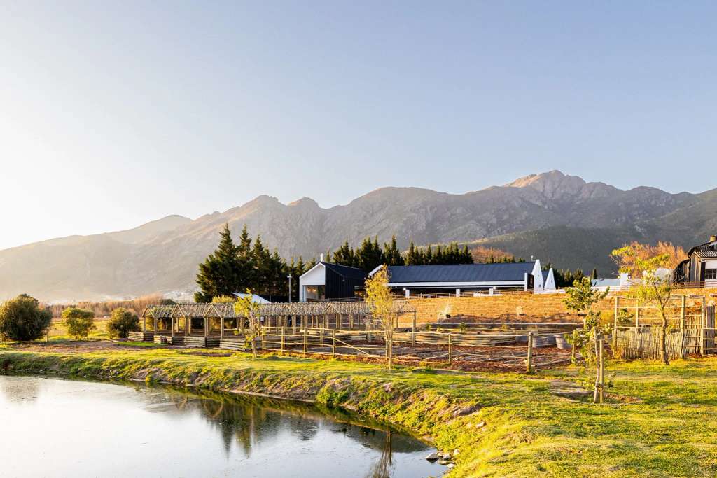 Backsberg Family Wines