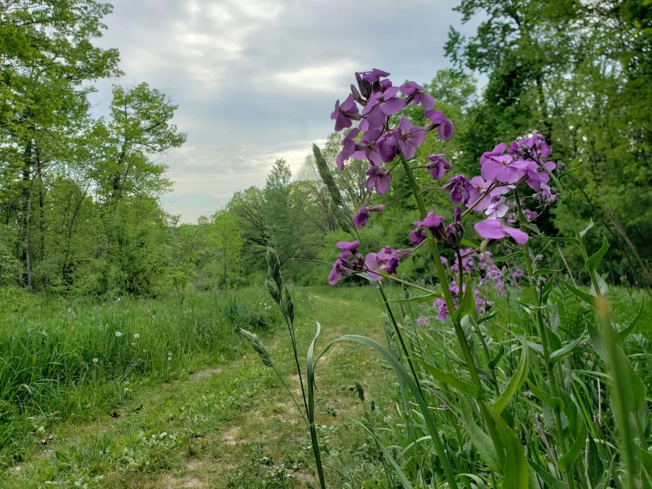 Willow Creek Preserve — photo 2