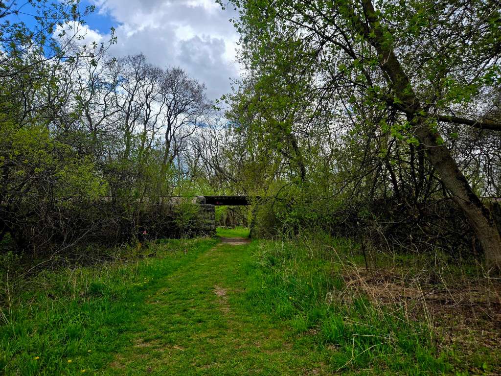 Willow Creek Preserve