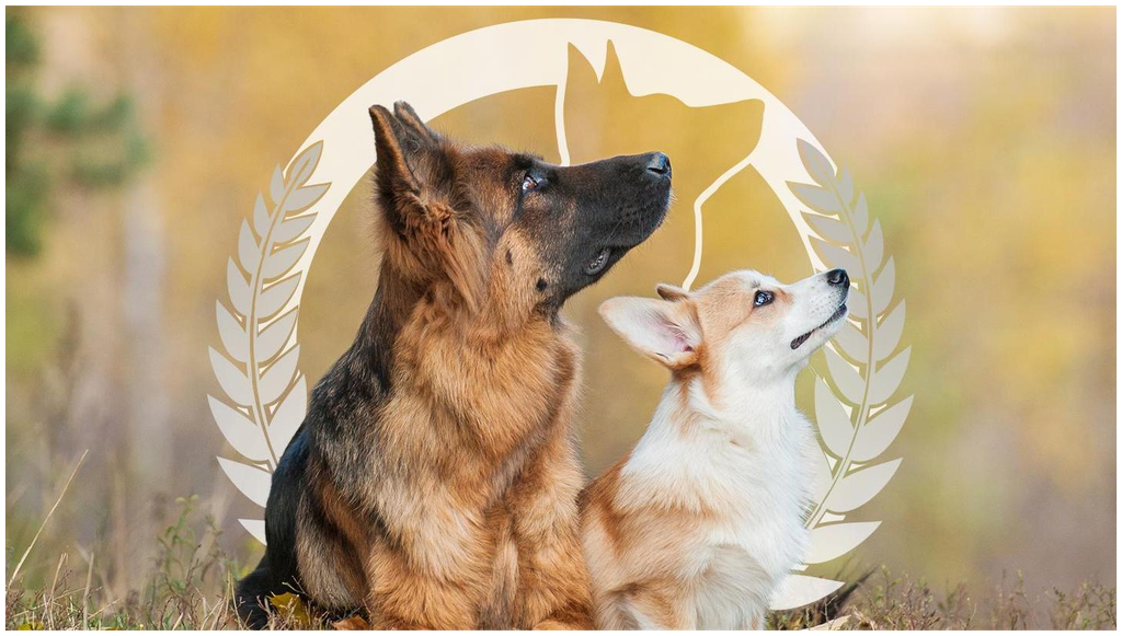 Pet Services