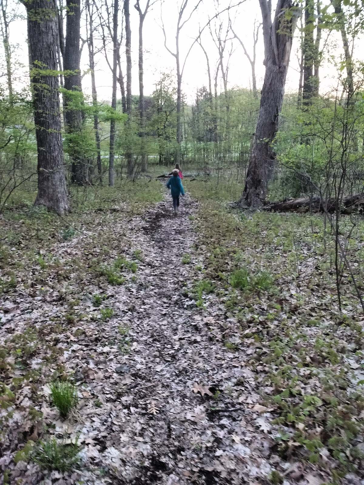 Decorah Hills Park — photo 5