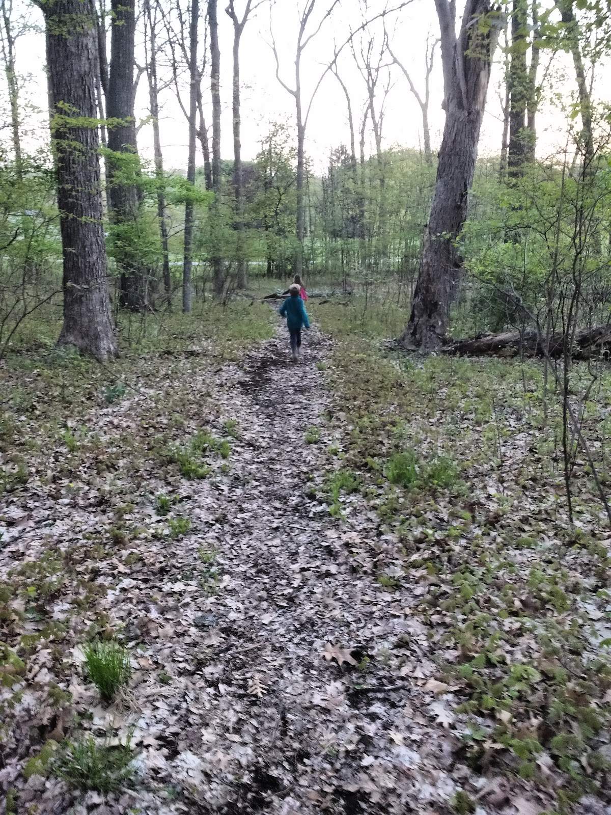 Decorah Hills Park — photo 5
