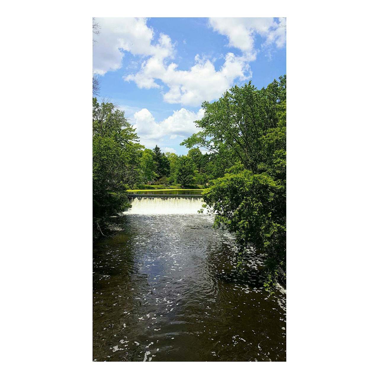 Boy Scout Park — photo 1