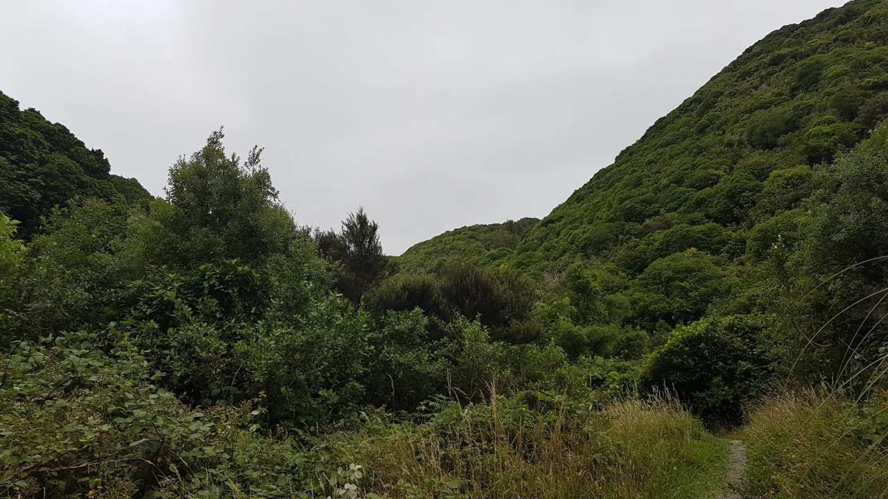 Lawson's Track, Seton Nossiter Park — photo 2