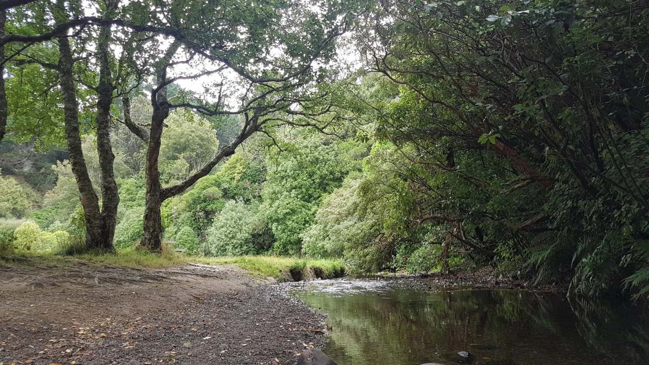 Lawson's Track, Seton Nossiter Park — photo 1