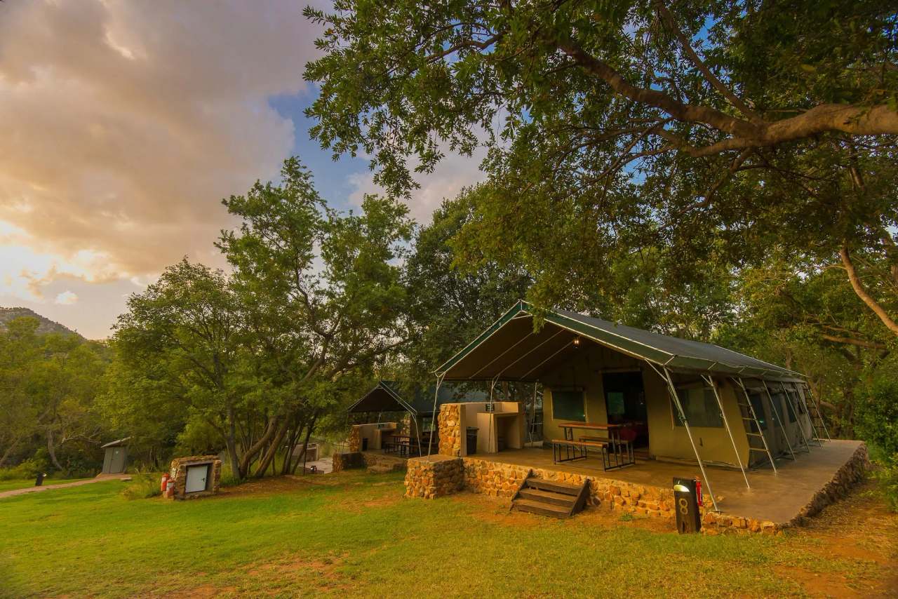 Bush Willow Tented Camp — photo 1