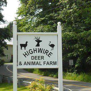 Highwire Deer & Animal Farm — photo 1