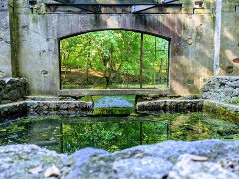 Paradise Springs Nature Trail — photo 5
