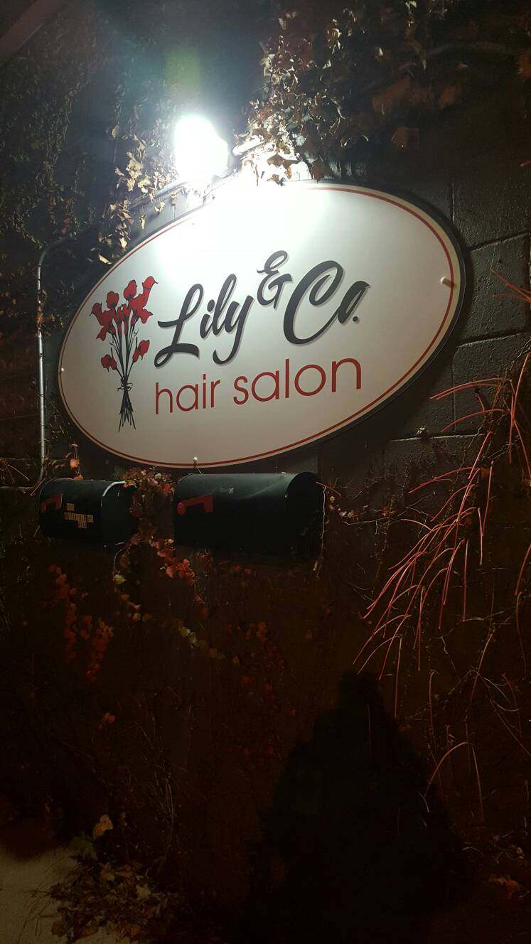 Lily & Co. — photo 2